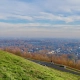 Tischler in Oer-Erkenschwick