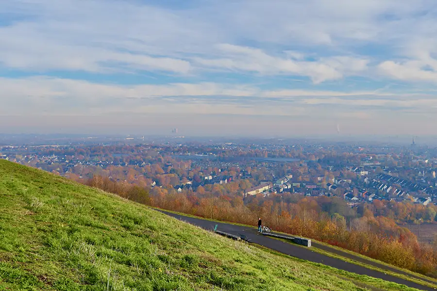 Tischler in Oer-Erkenschwick